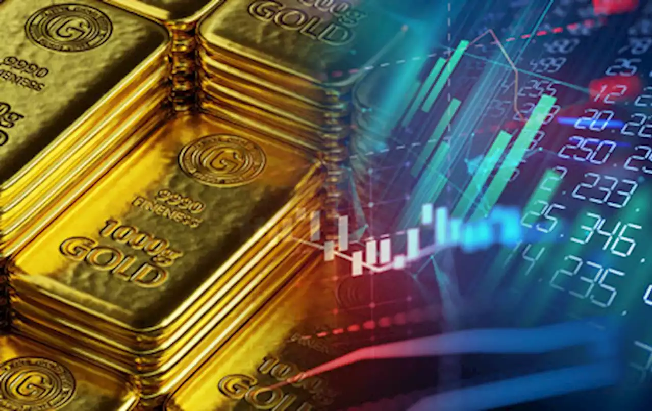 Gold bulls should focus on long-term protection, not short-term opportunity costs - State Street's George Milling Stanley