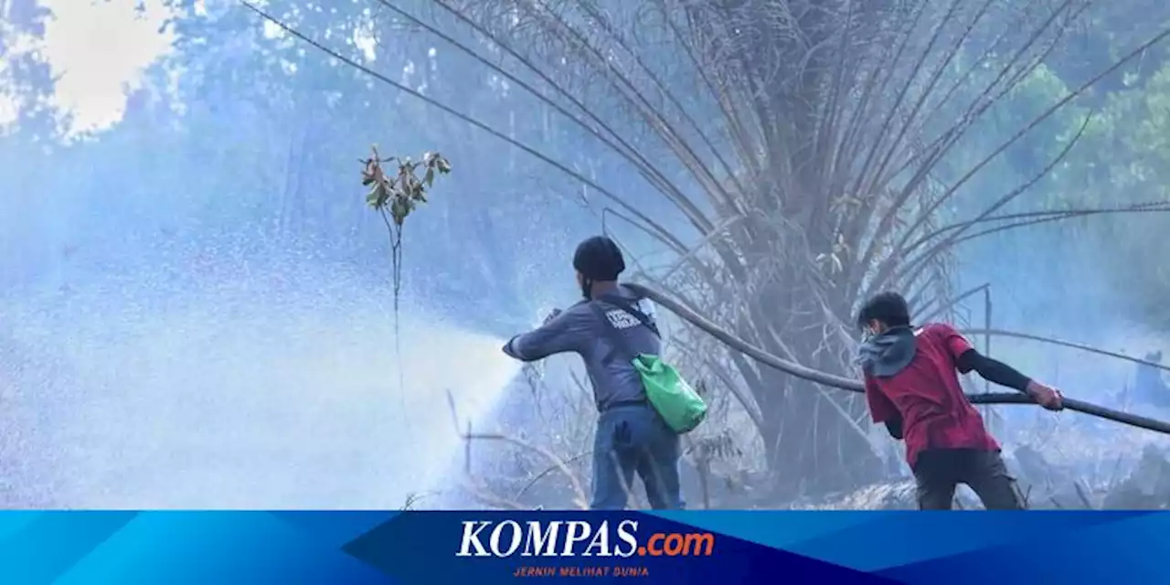 10 Hektar Hutan Suaka Margasatwa di Riau Terbakar, Diduga Dibakar untuk Kebun Sawit