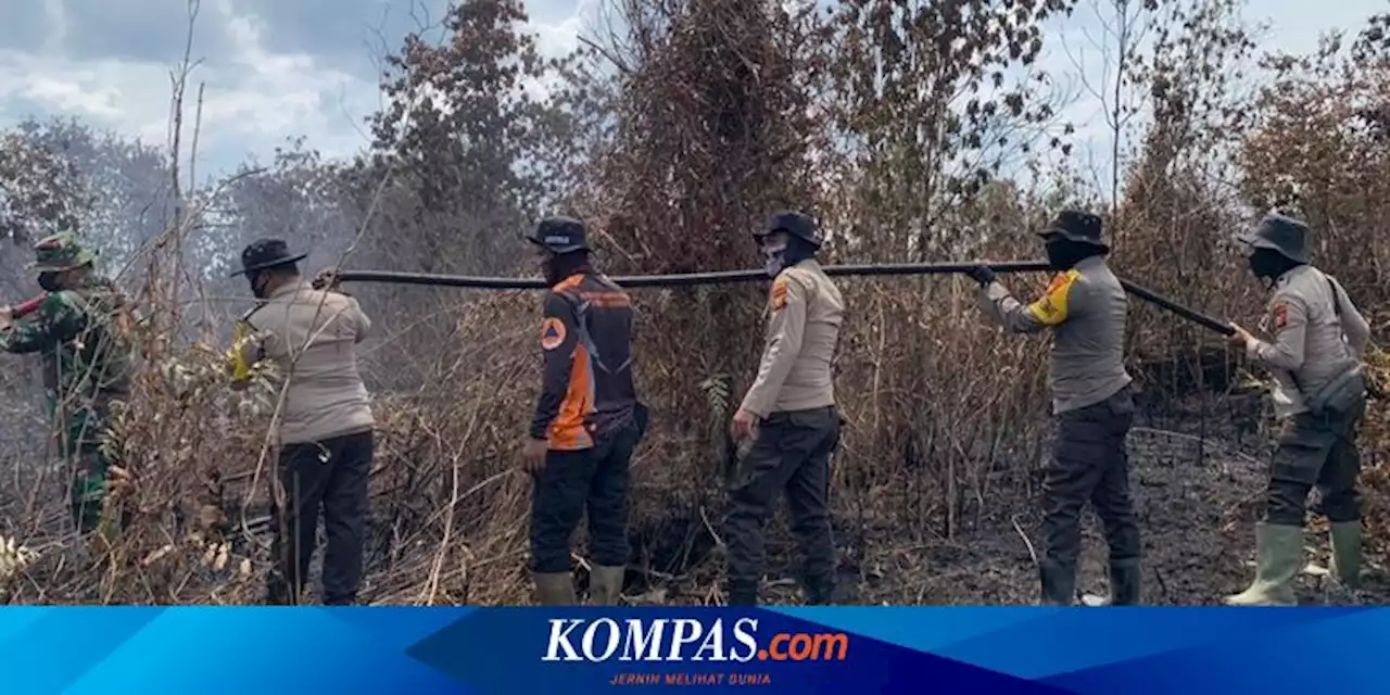 Padamkan Kebakaran Hutan di Riau, Petugas Terobos Sarang Harimau Sumatera