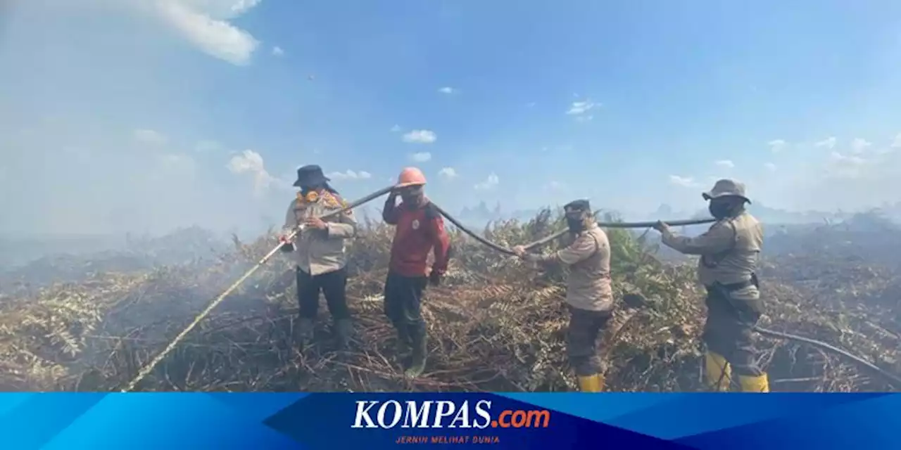 Polisi Klaim Lahan Gambut di Rokan Hulu Riau Dipadamkan Setelah 4 Hari Terbakar