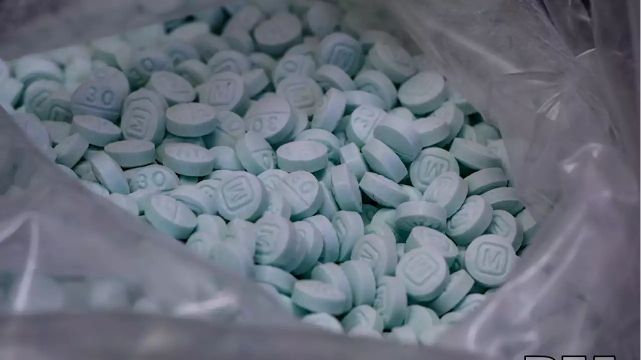 Two foreign nationals arrested following removal of 63,000 fentanyl pills from Utah home