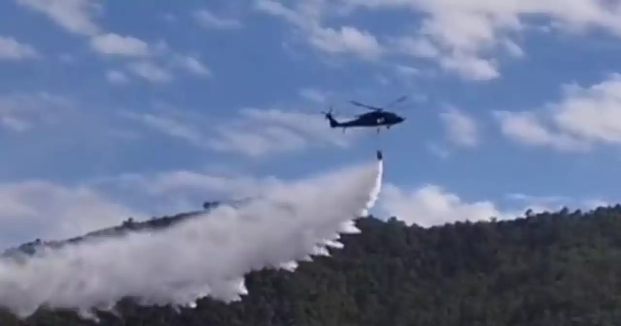 Video: Incendio forestal ha consumido más de 100 hectáreas en Yotoco, Valle