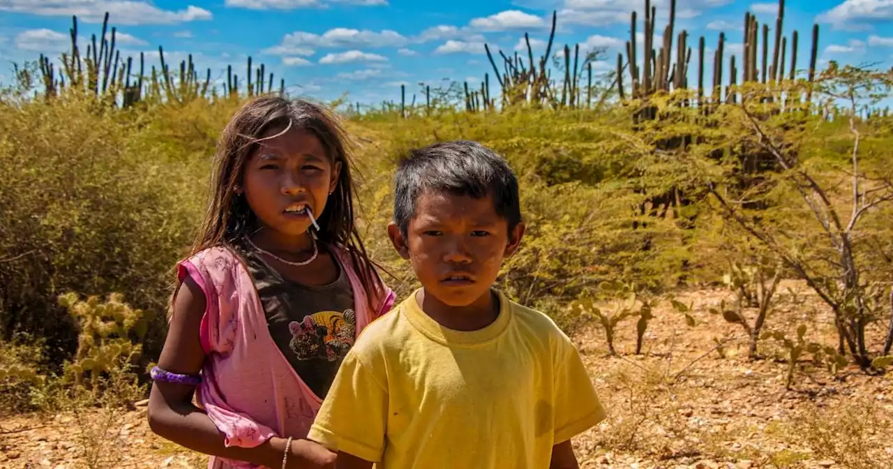 Hay que salvar también a los niños indígenas de La Guajira