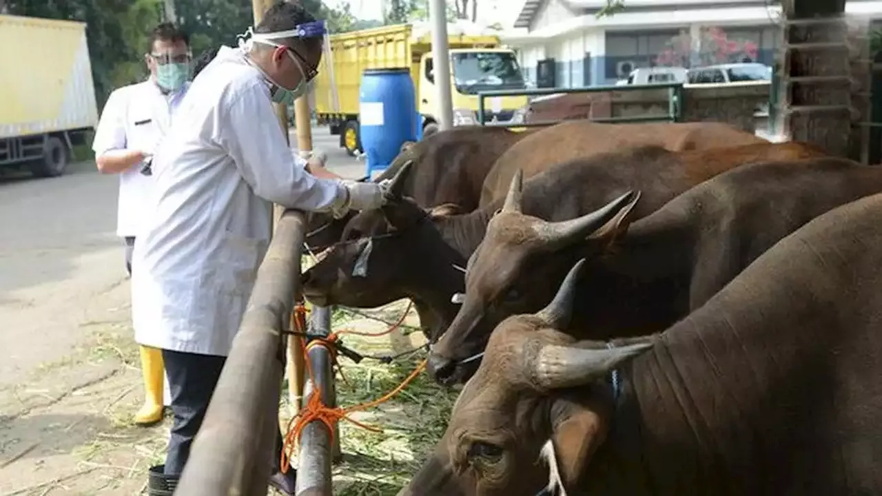 Khutbah Jumat Singkat: Kurban, Amalan Yang Paling Dicintai Allah Pada ...