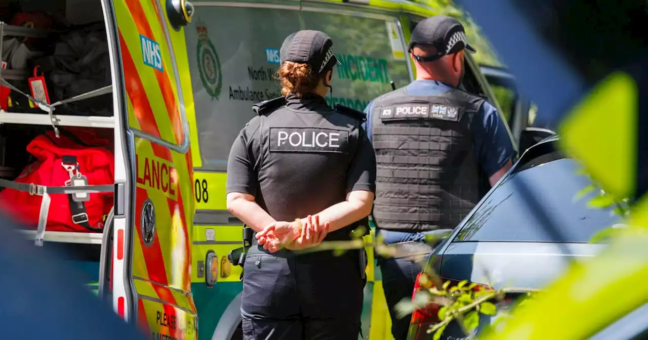 Disbelief as police swarm and chaos descends on quiet residential street