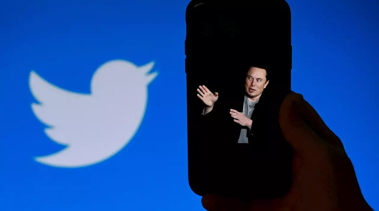 Twitter, da Musk ok all'83% delle richieste di censura dei governi autoritari