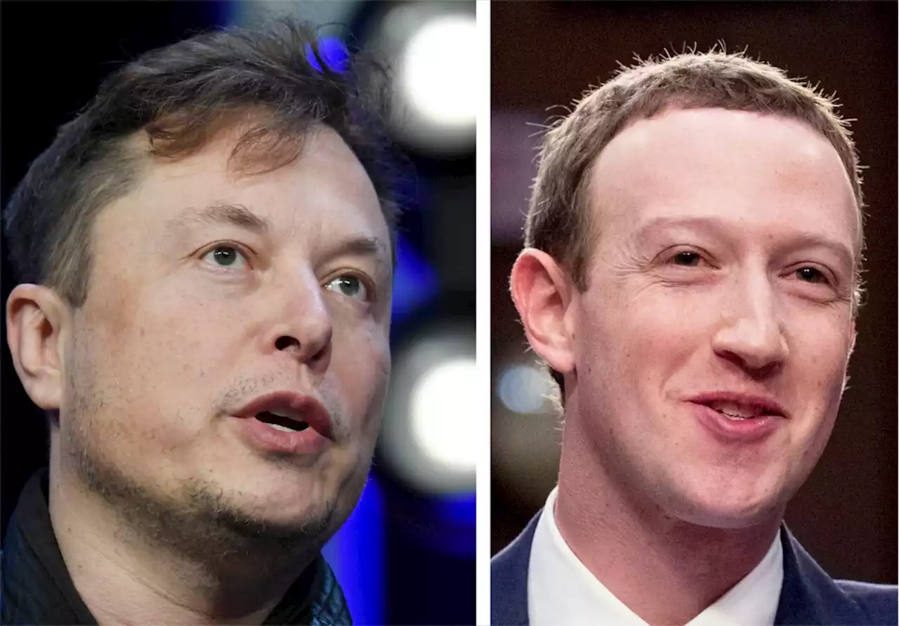 Elon Musk and Mark Zuckerberg say they’re ready for a cage fight