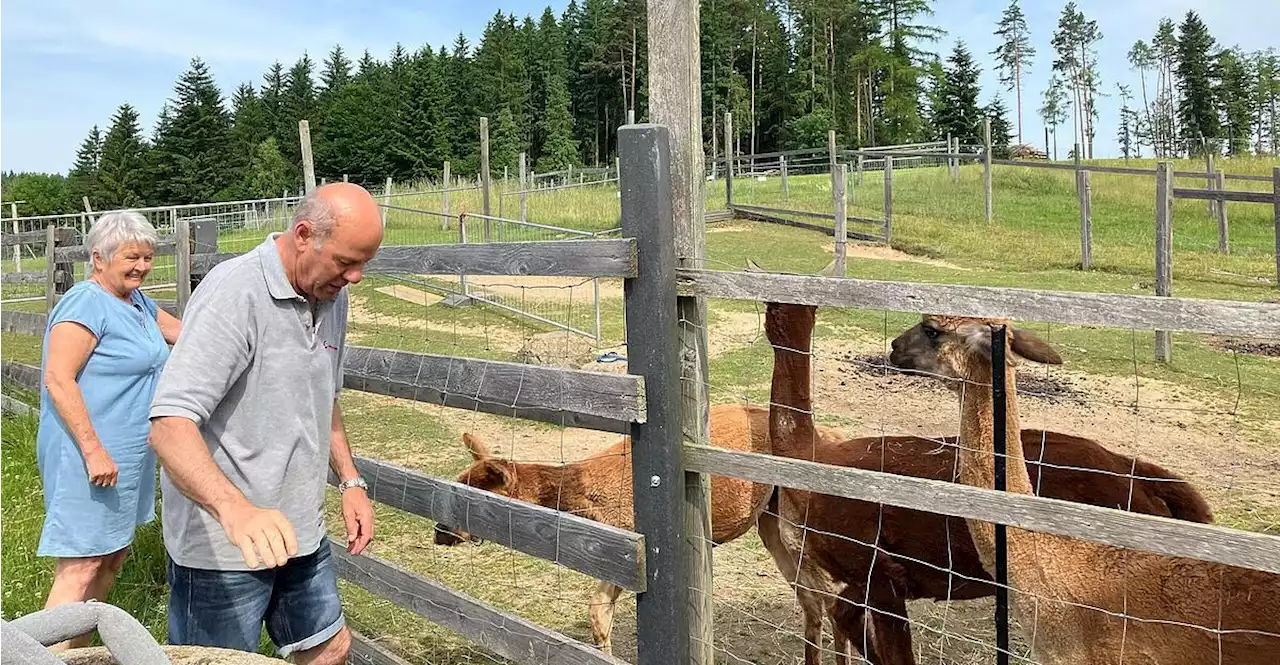 Wo ein Bauernhof zum Tageszentrum für Senioren wird