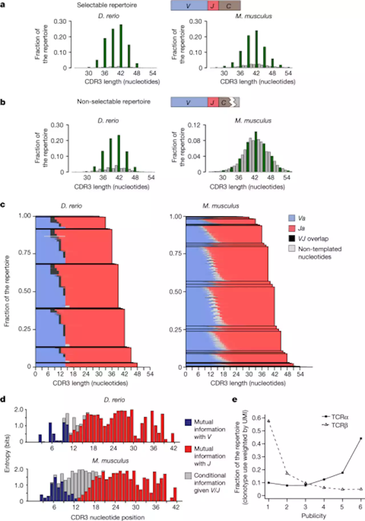 Origin and evolutionary malleability of T cell receptor α diversity - Nature