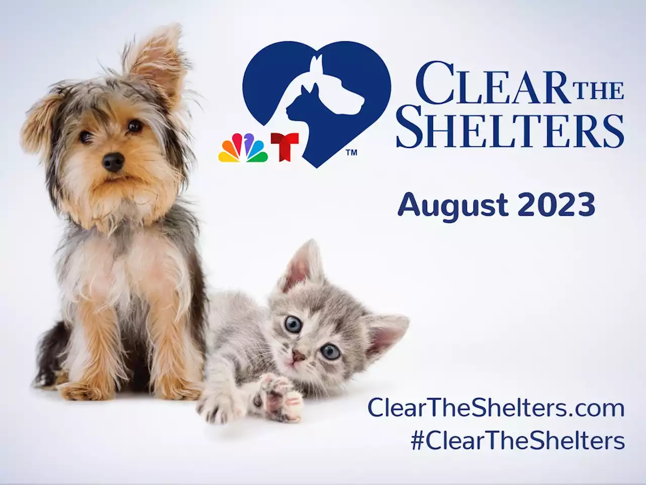 Clear The Shelters pet adoption and donation campaign returns for its ninth straight year