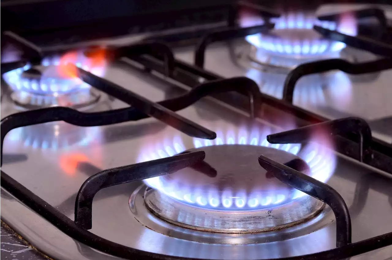 The invisible threat: gas stoves contaminate indoor air with benzene