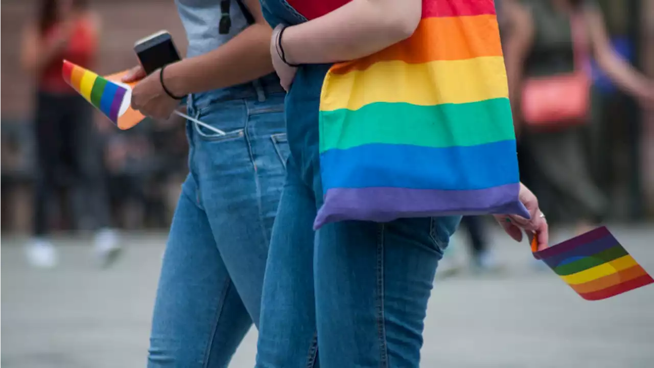 Vrouw met regenboogtas belaagd, bedreigd en bespuugd in Nieuw-Vennep