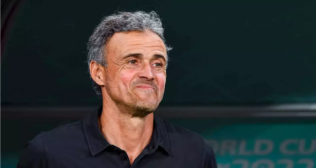 PSG : coup de frein pour l'arrivée de Luis Enrique