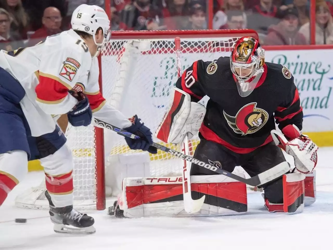 Ottawa Senators will play Florida Panthers in pre-season game in Sydney, N.S.