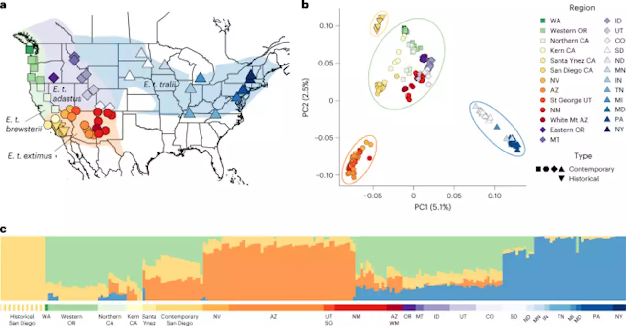 Historical DNA reveals climate adaptation in an endangered songbird - Nature Climate Change