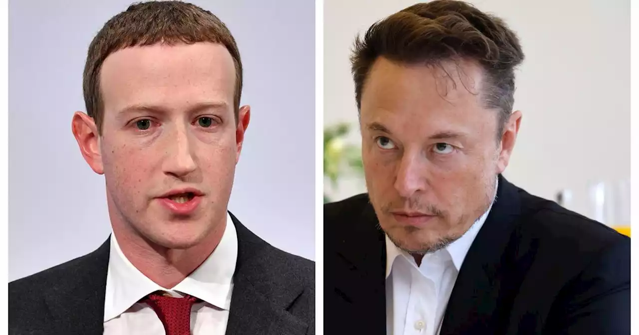 Volano stracci nella Silicon Valley, Elon Musk promette a Mark Zuckerberg la mossa del tricheco