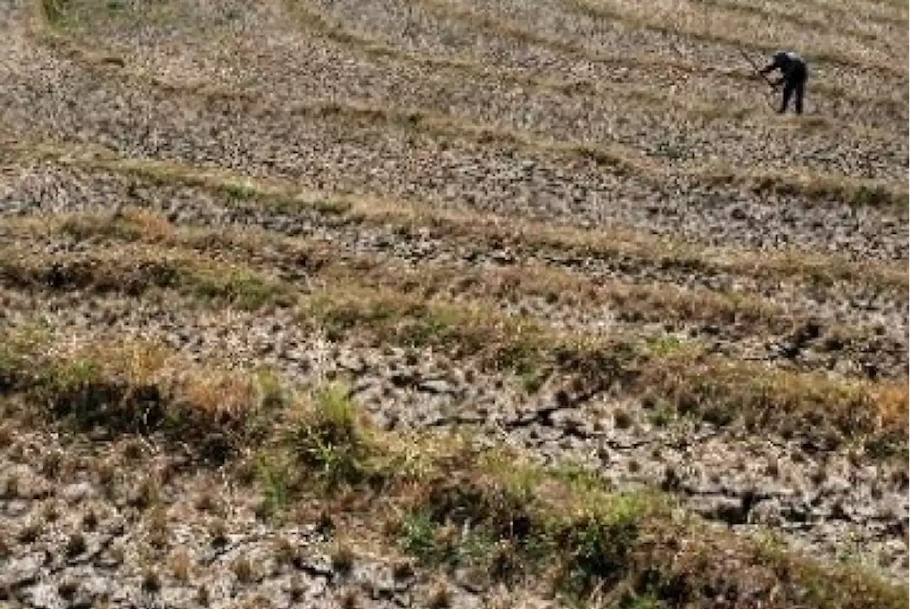 Hadapi Potensi Kekeringan Dampak El Nino, Ini Strategi Mitigasi Jateng |Republika Online