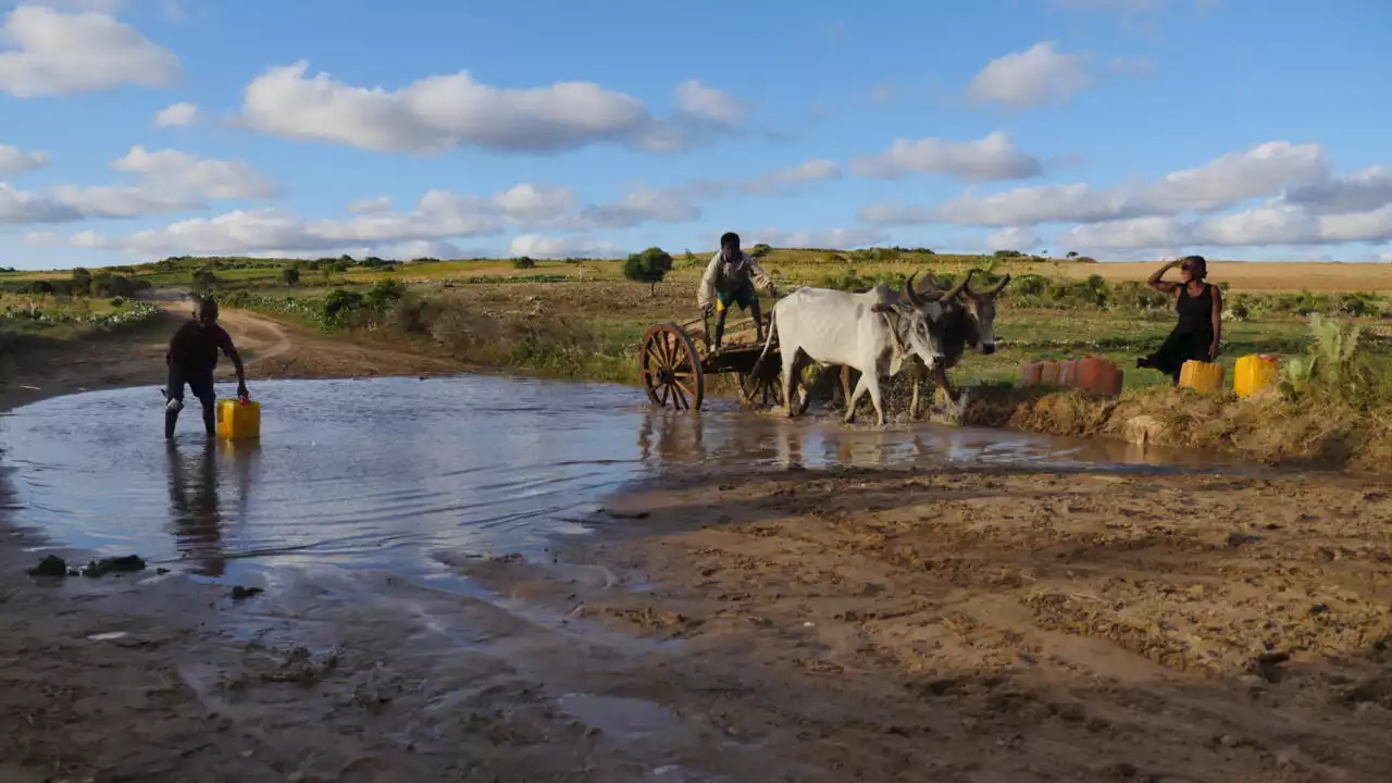 La Réunion et Madagascar approfondissent leur coopération