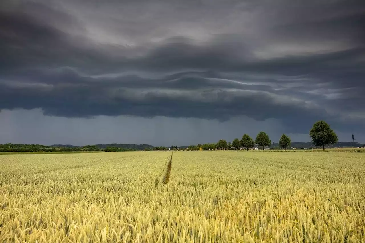 Unwetter in NRW erwartet: Warnung vor heftigem Starkregen