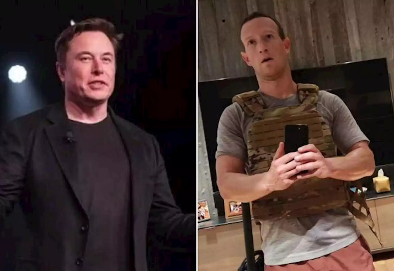 Mark Zuckerberg e Elon Musk se desafiam para luta - SBT News