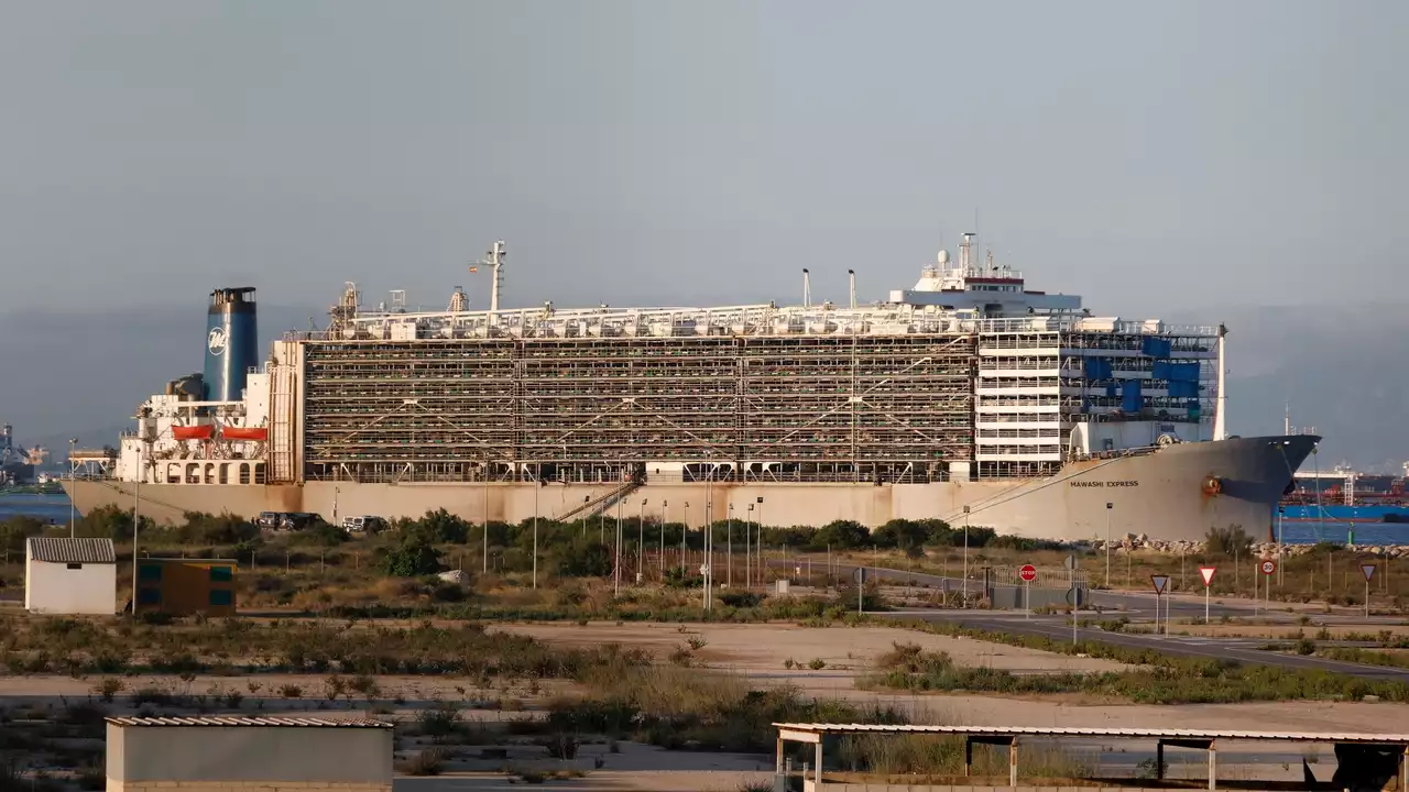 La Audiencia Nacional inmoviliza un establo flotante en San Roque (Cádiz) en busca de cinco toneladas de cocaína