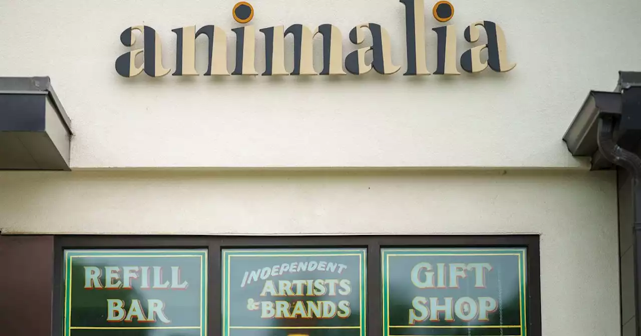 Salt Lake City gift shop and ‘refillery’ store Animalia to close after 5 years