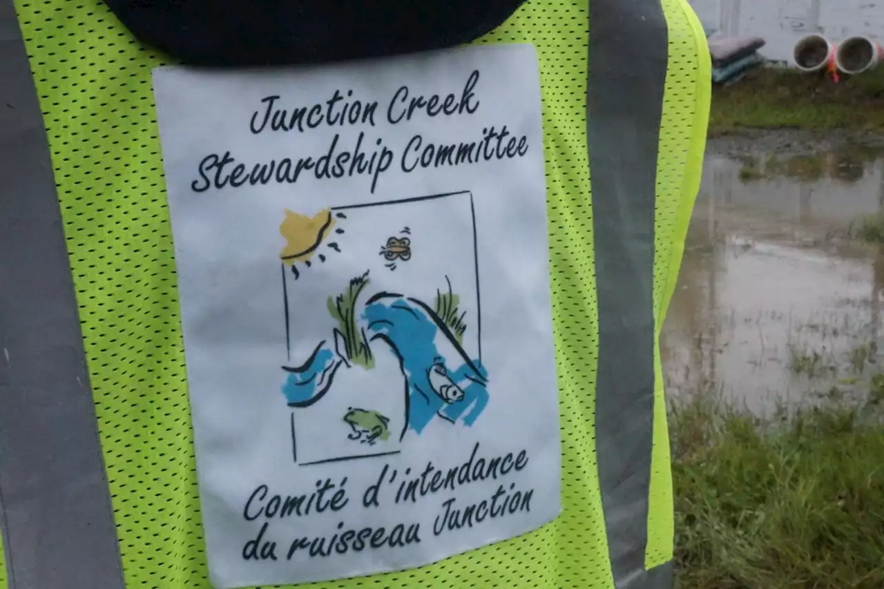 Volunteers needed for Junction Creek shoreline cleanup