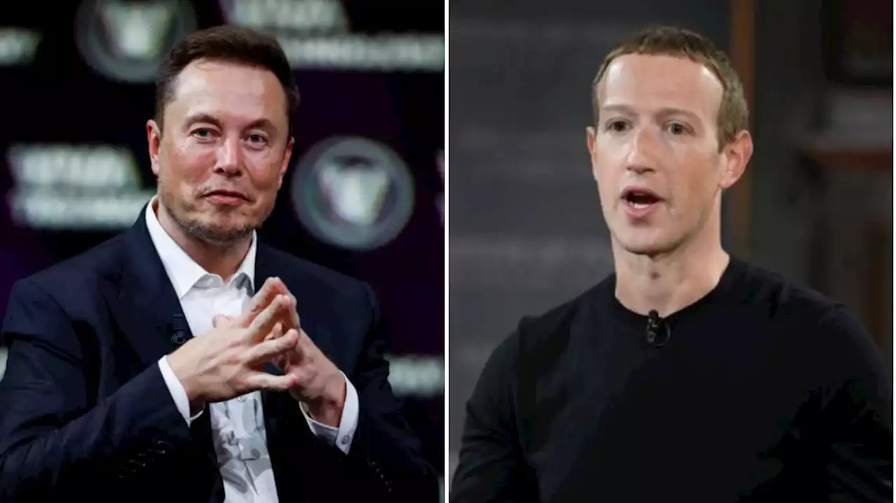 Tech giants Elon Musk and Mark Zuckerberg agree to face off in cage fight