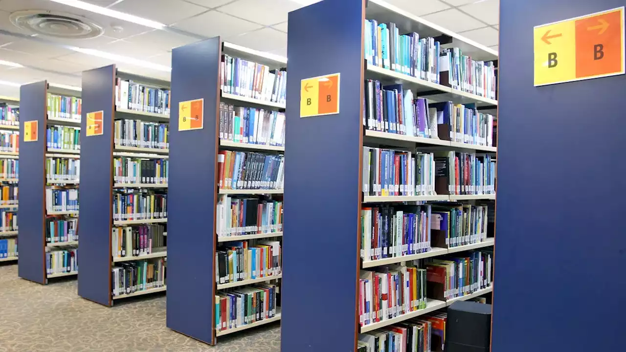 Library Drops Dewey Decimal System By Organizing All Titles Under ‘B’ For Books