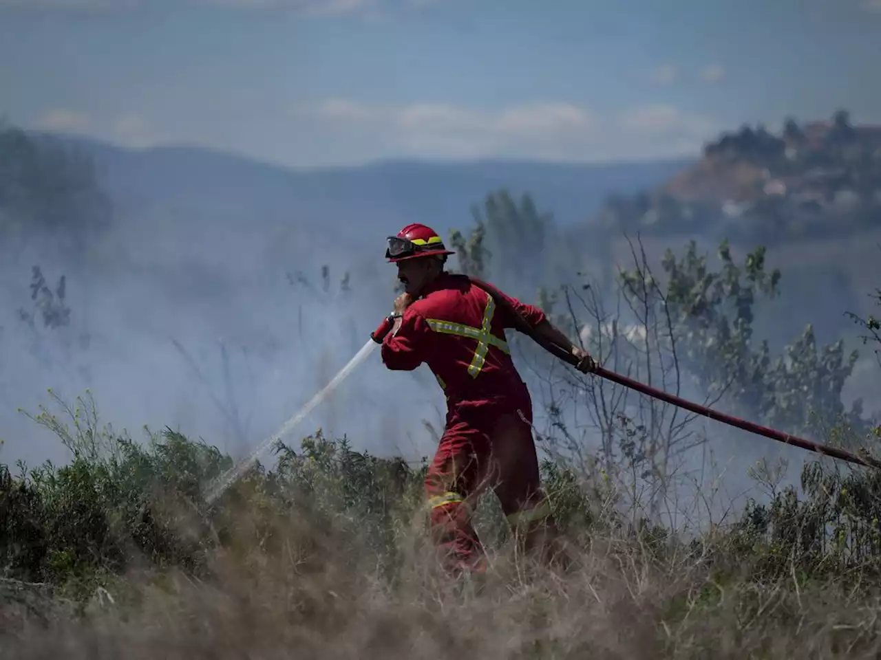 NDP seeks bigger tax break for volunteer firefighters as fire chief warns of crisis