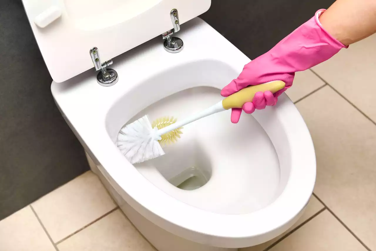 Mrs Hinch fans are going mad for a 20p trick to clean the loo in minutes