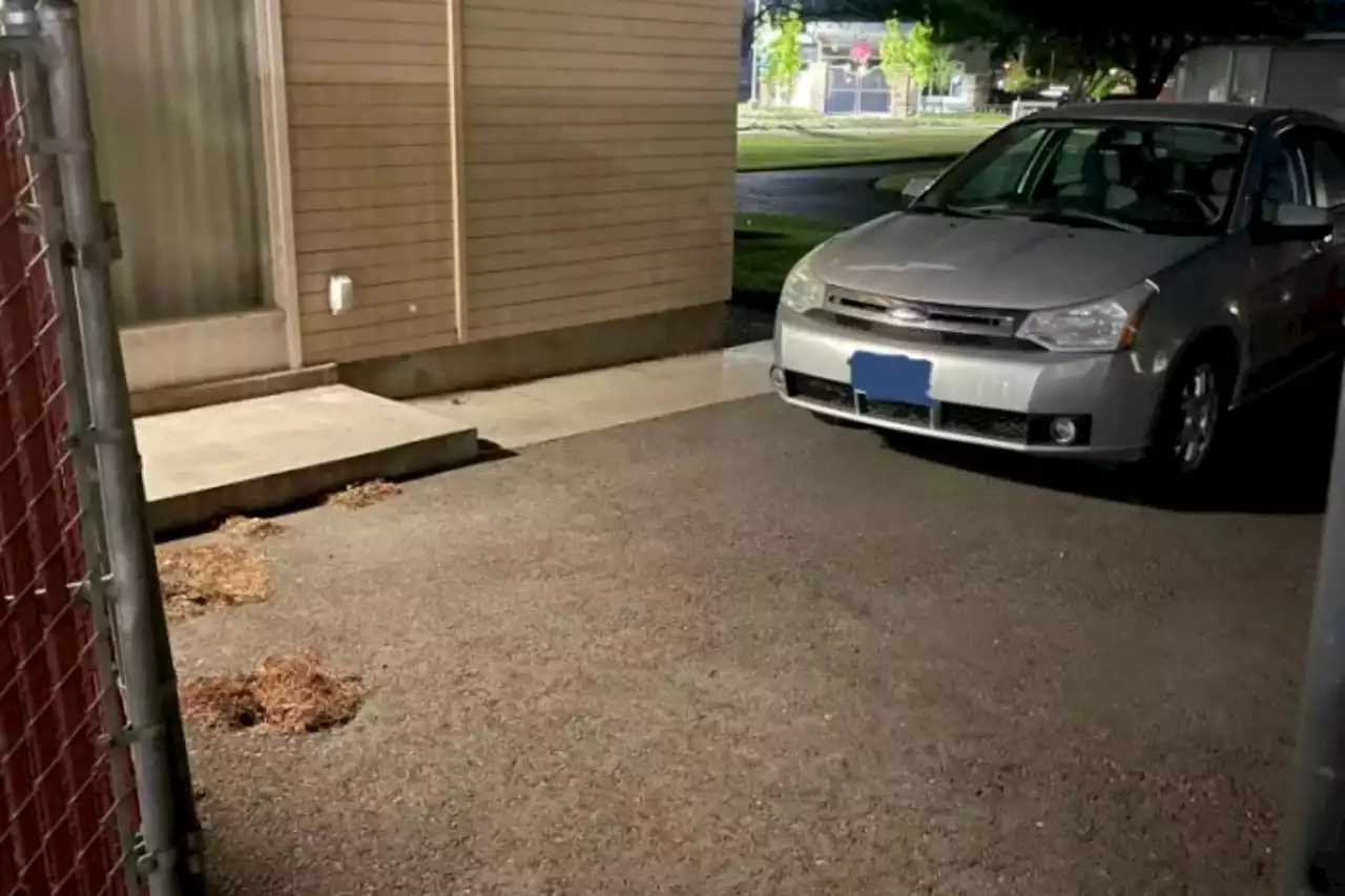 My neighbour parks in the middle of our shared driveway, so we can’t use it