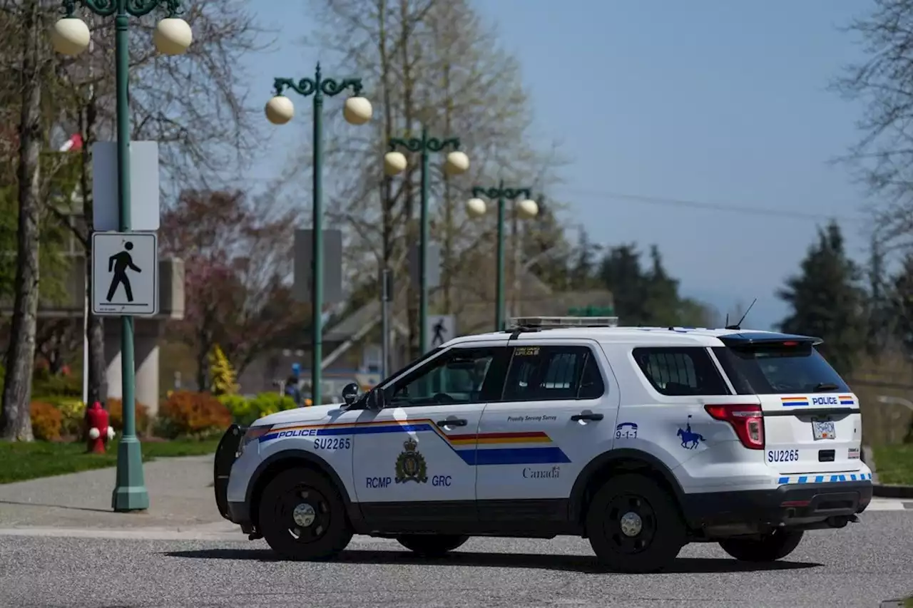 Surrey councillor breached conflict rules in police vote: ethics report