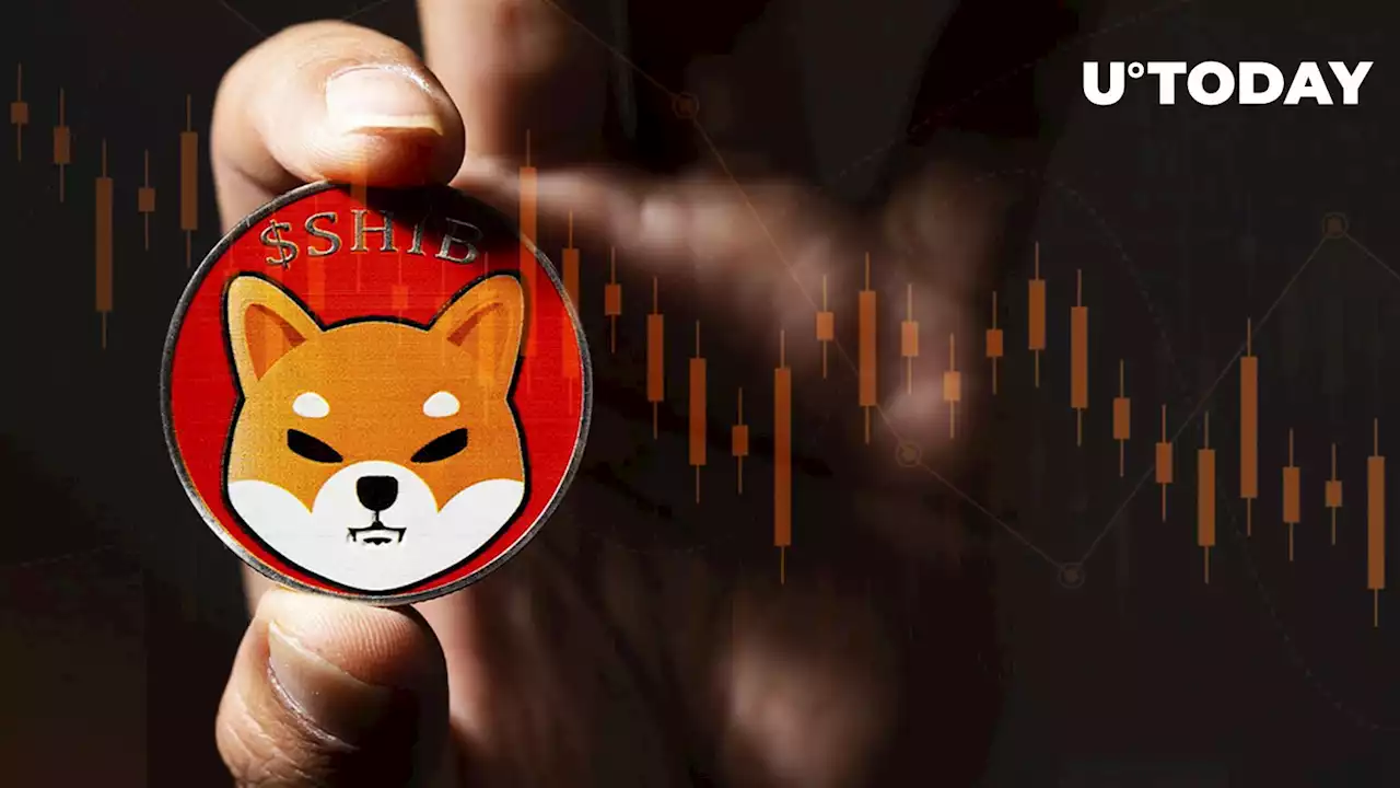 Massive Shiba Inu Token Sell-off Causes SHIB Price Crash: Details