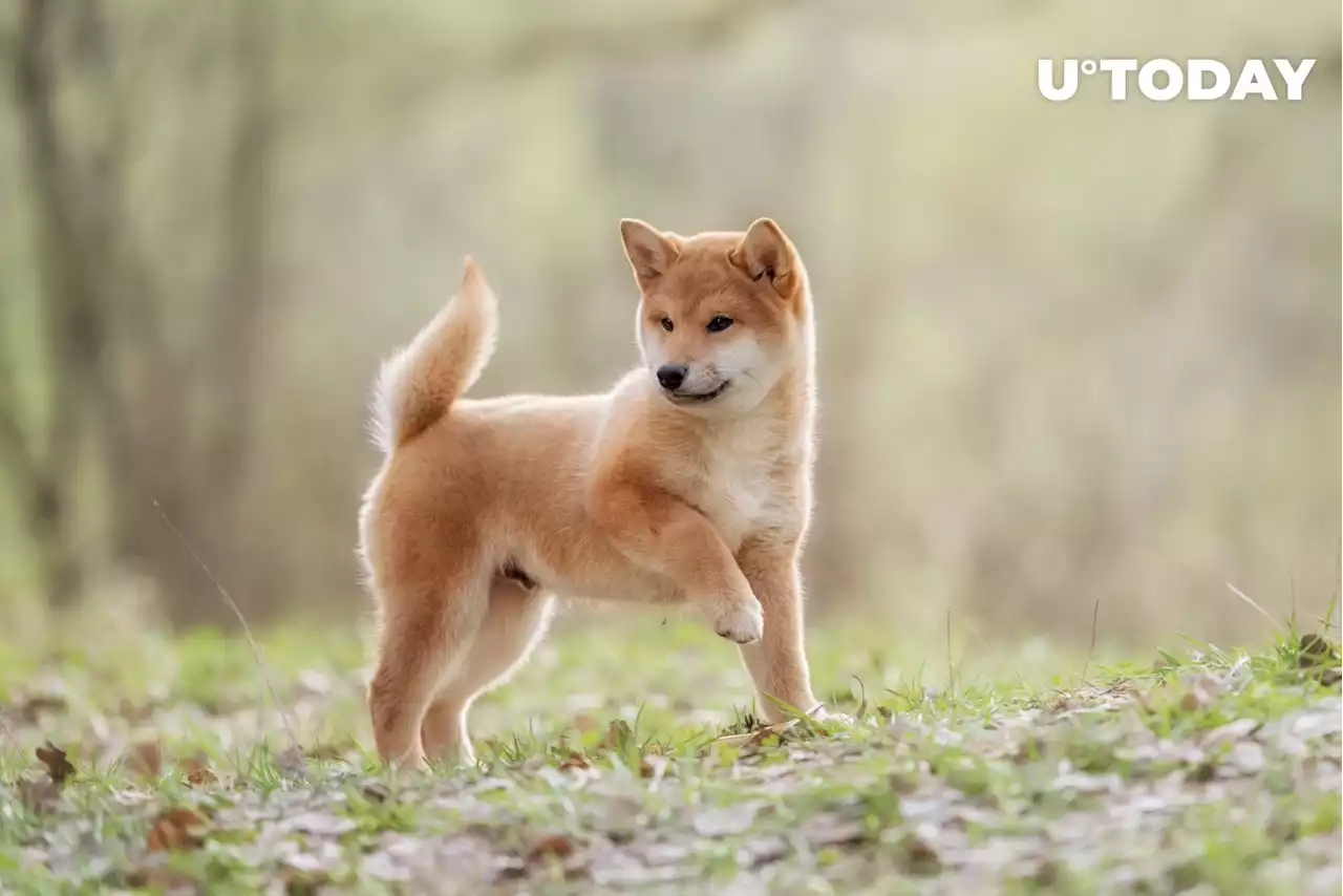 Shiba Inu Lead Shytoshi Kusama Shares Major Update