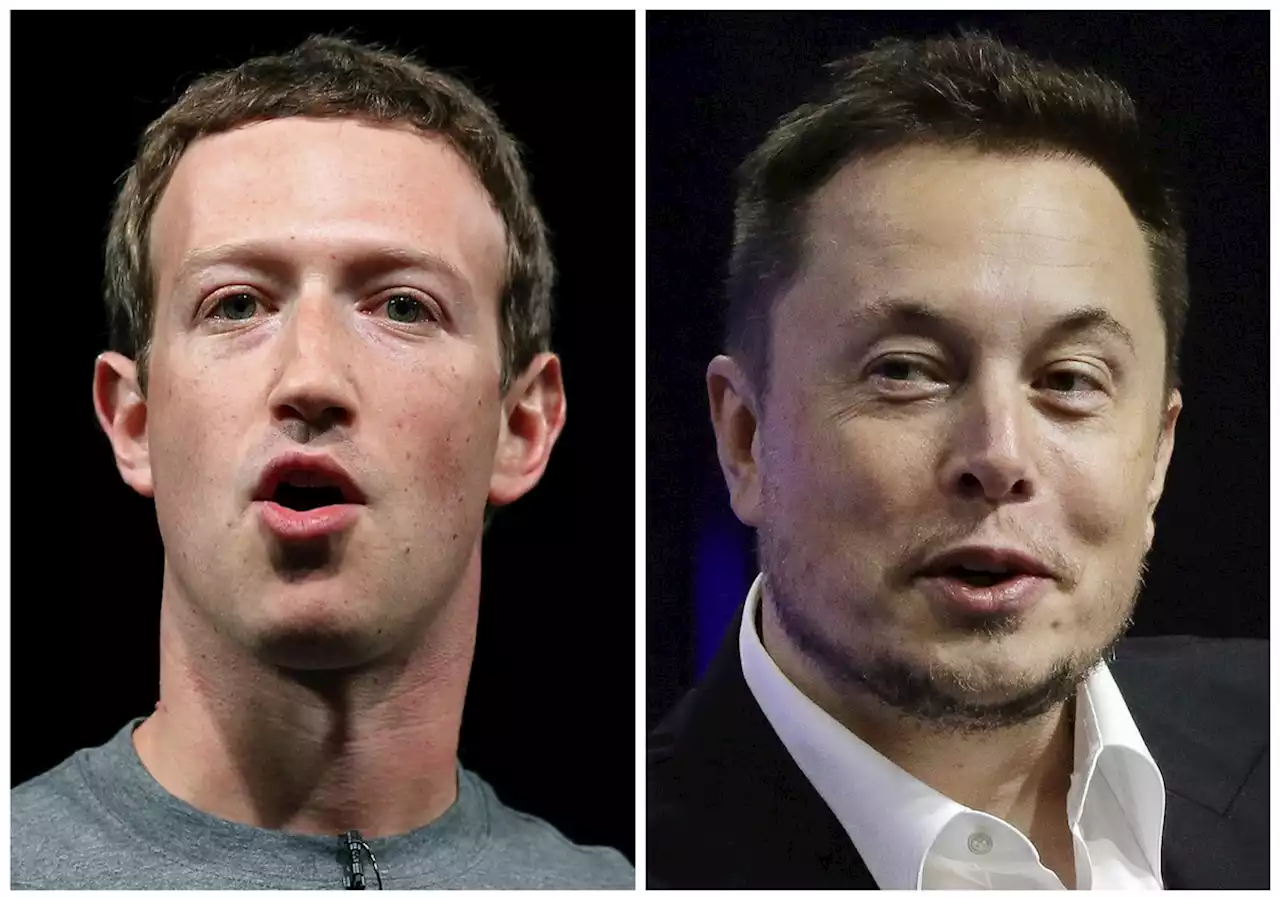 Elon Musk desafia Zuckerberg para luta em Las Vegas. E ele aceitou