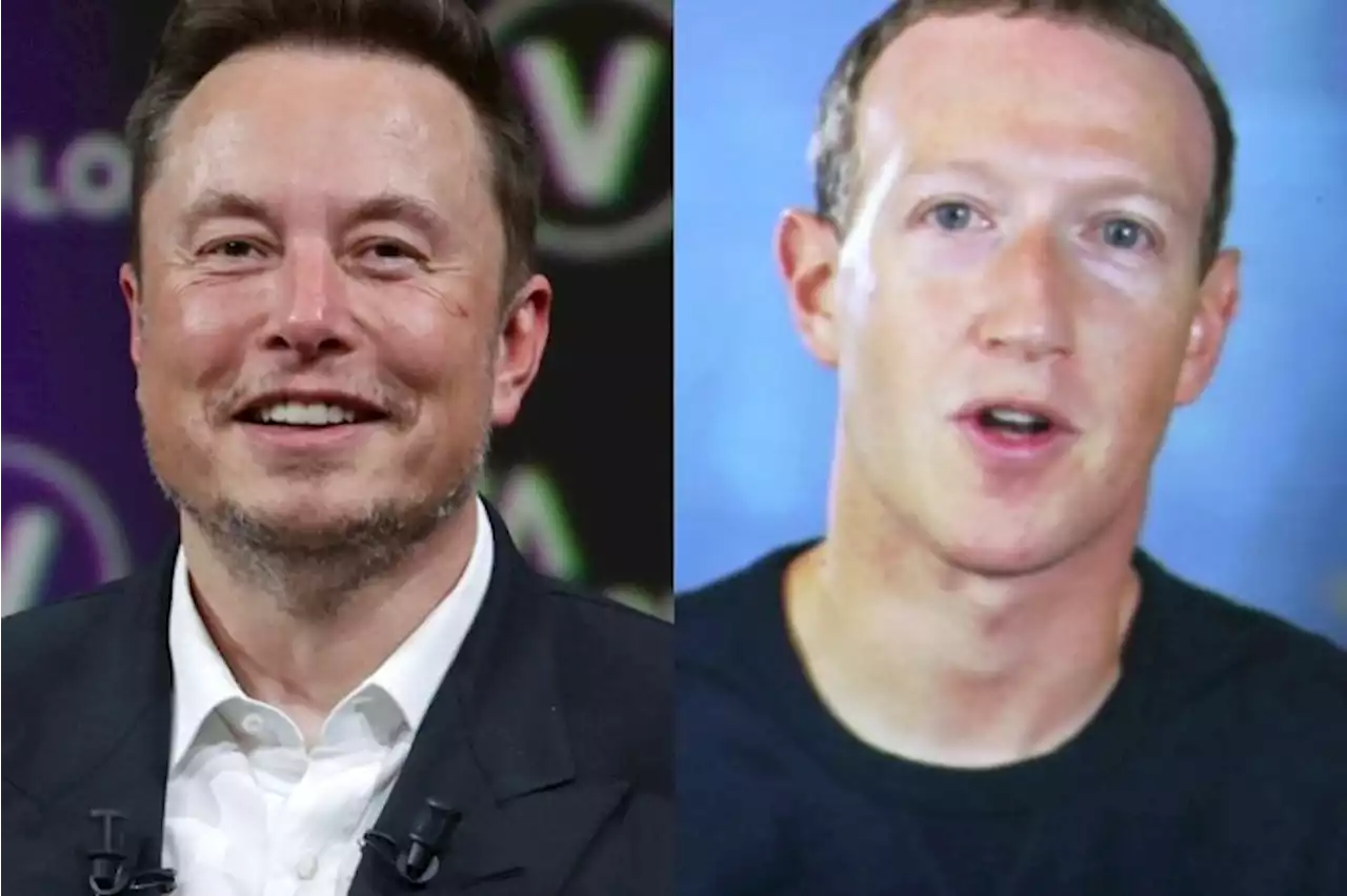 Elon Musk e Mark Zuckerberg se desafiam em luta | VEJA Gente