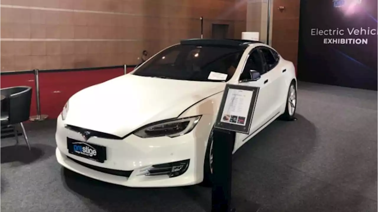 Hacker Temukan 'Elon Mode' di Software Tesla