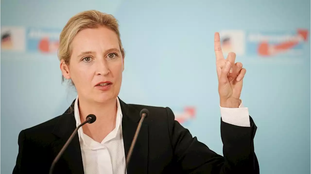 AfD sucht Kanzlerkandidaten: Alice Weidel spricht Klartext zu Björn Höcke