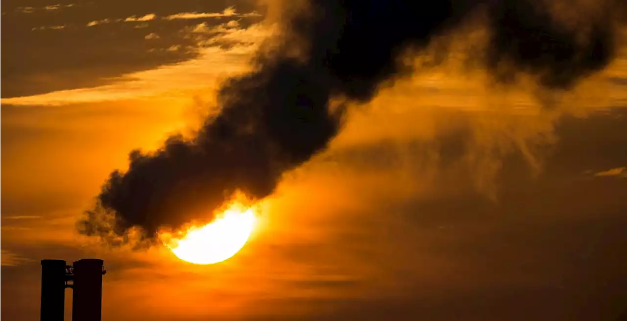 Klimakrise - Klimaschutz zum Spottpreis