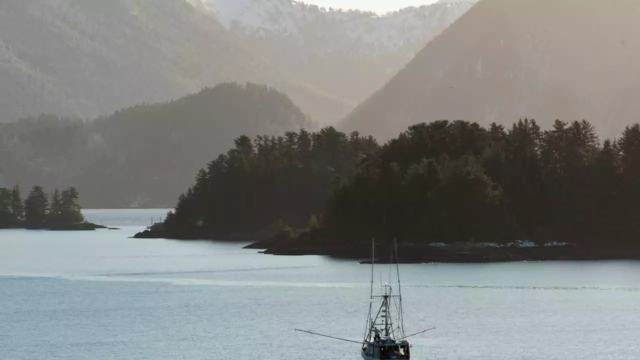 King salmon season back on in Alaska after federal appeals court lets fishery open July 1