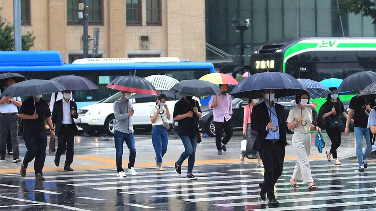 [날씨] 휴일부터 장마 시작...월요일 중부지방으로 확대