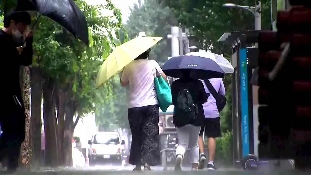 [날씨] 2년 만에 전국 동시 장마...일요일 제주·남부, 월요일 중부