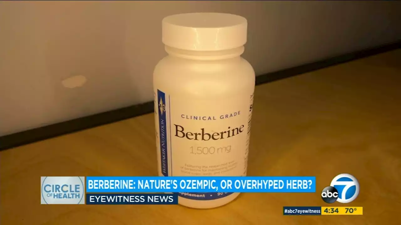 Berberine dietary supplements have been nicknamed 'nature's Ozempic,' but is it a fad?