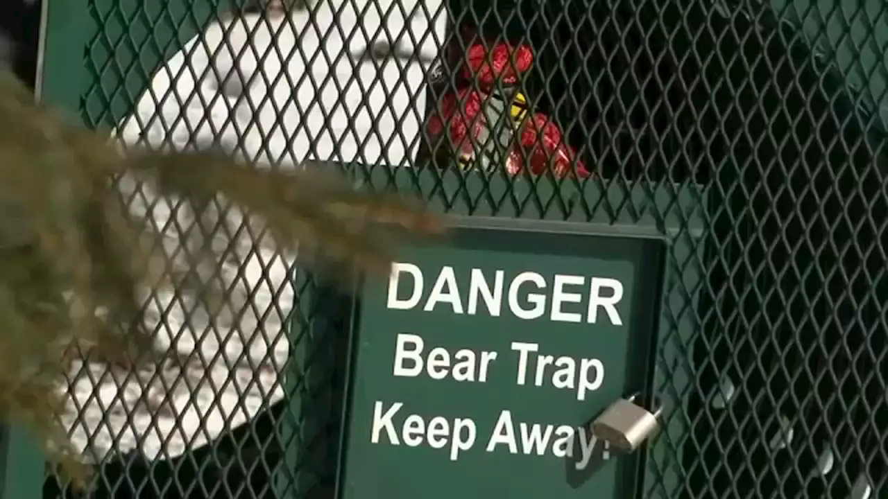 NJ park closed to visitors due to uptick in black bear encounters, aggressive behavior