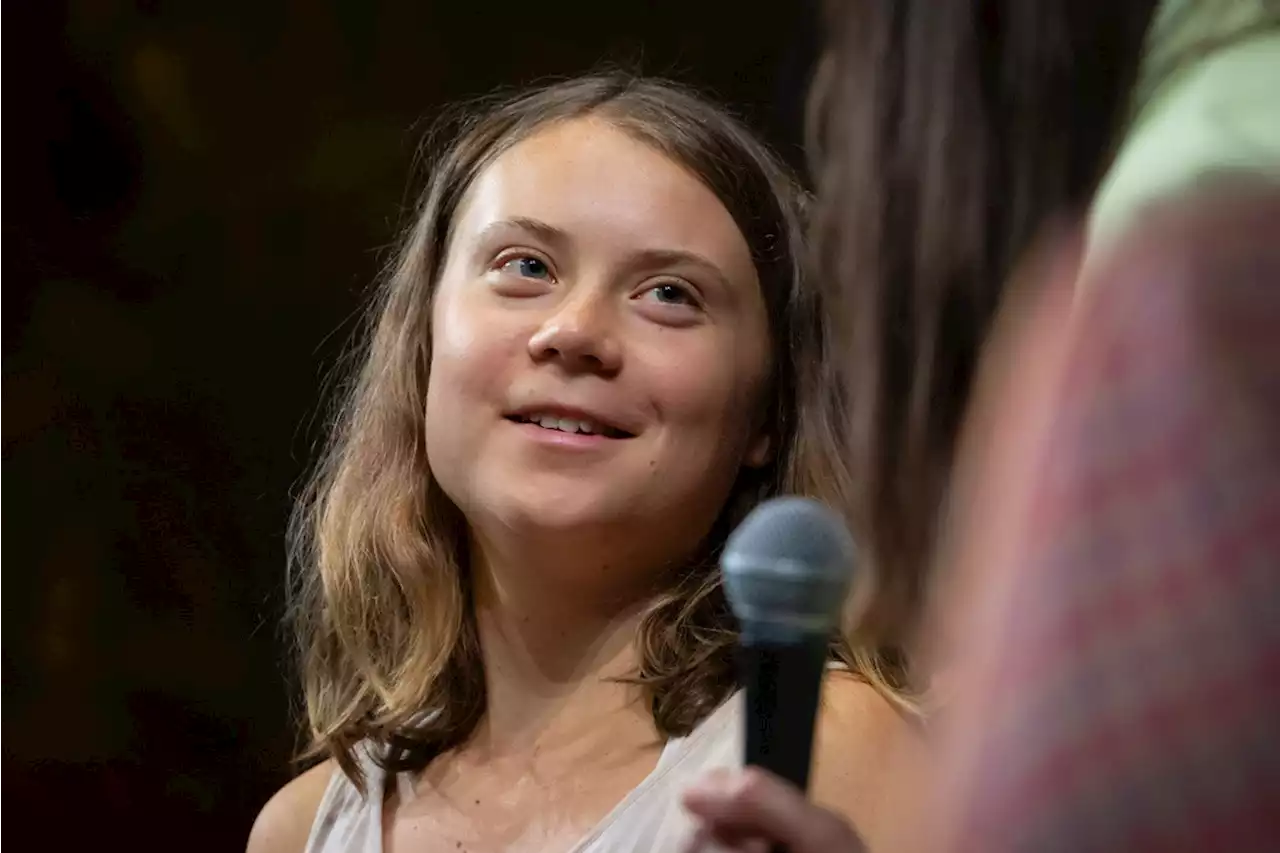 Prominente Unterstützung bei Demo – Greta Thunberg kündigt Besuch in Basel an