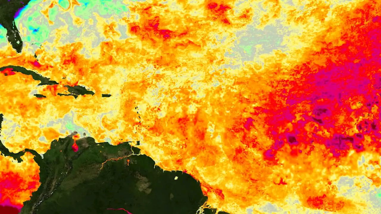 Les ouragans violents potentiellement favorisés cette année par les températures anormalement hautes de l'Atlantique