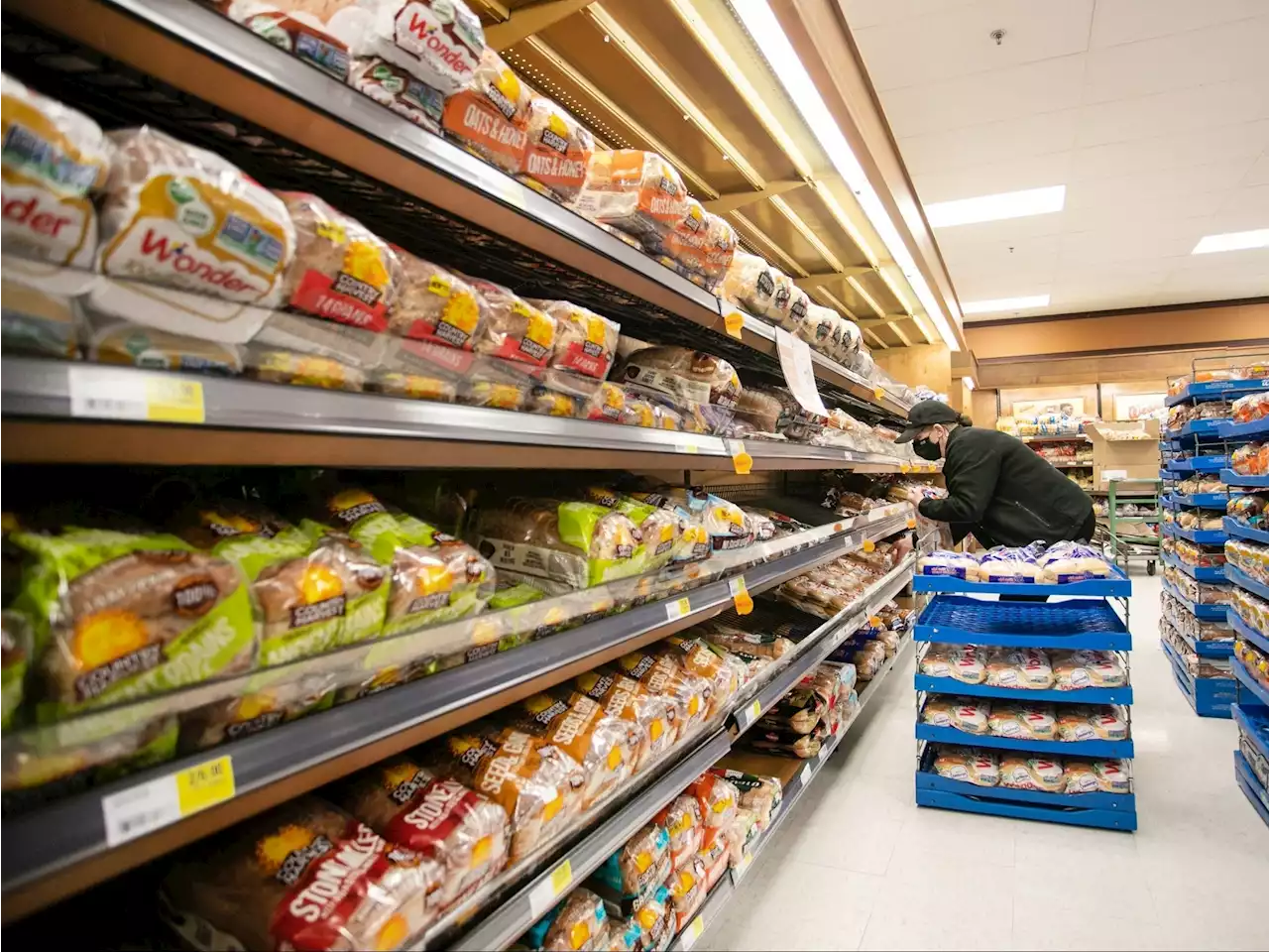 LILLEY: Public outrage should be baked into ongoing saga of bread price fixing