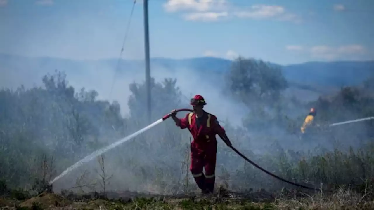 Canada, U.S. sign deal to better co-ordinate fight against wildfires | CBC News