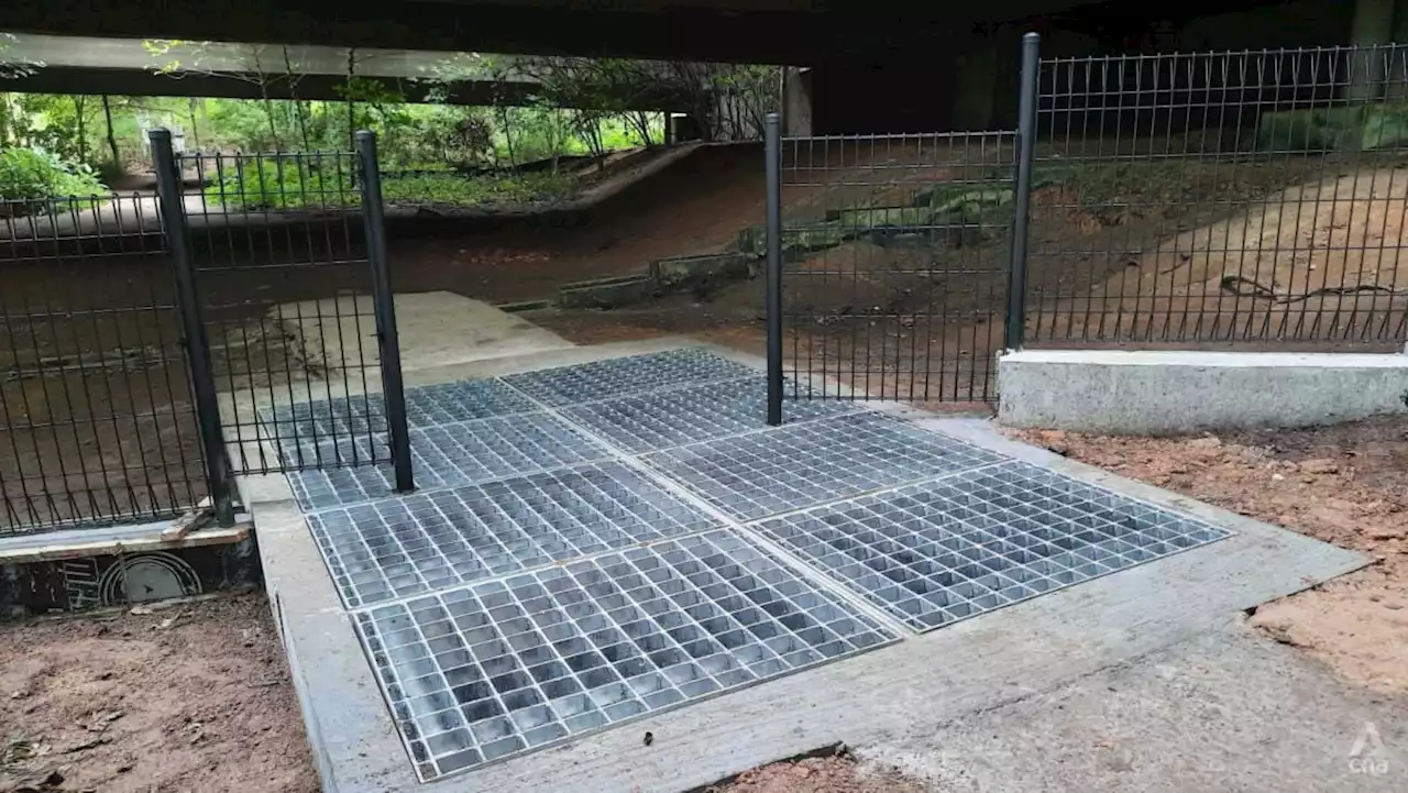 More fences, cattle grids to exclude boars from Bukit Panjang residential areas in wake of two attacks